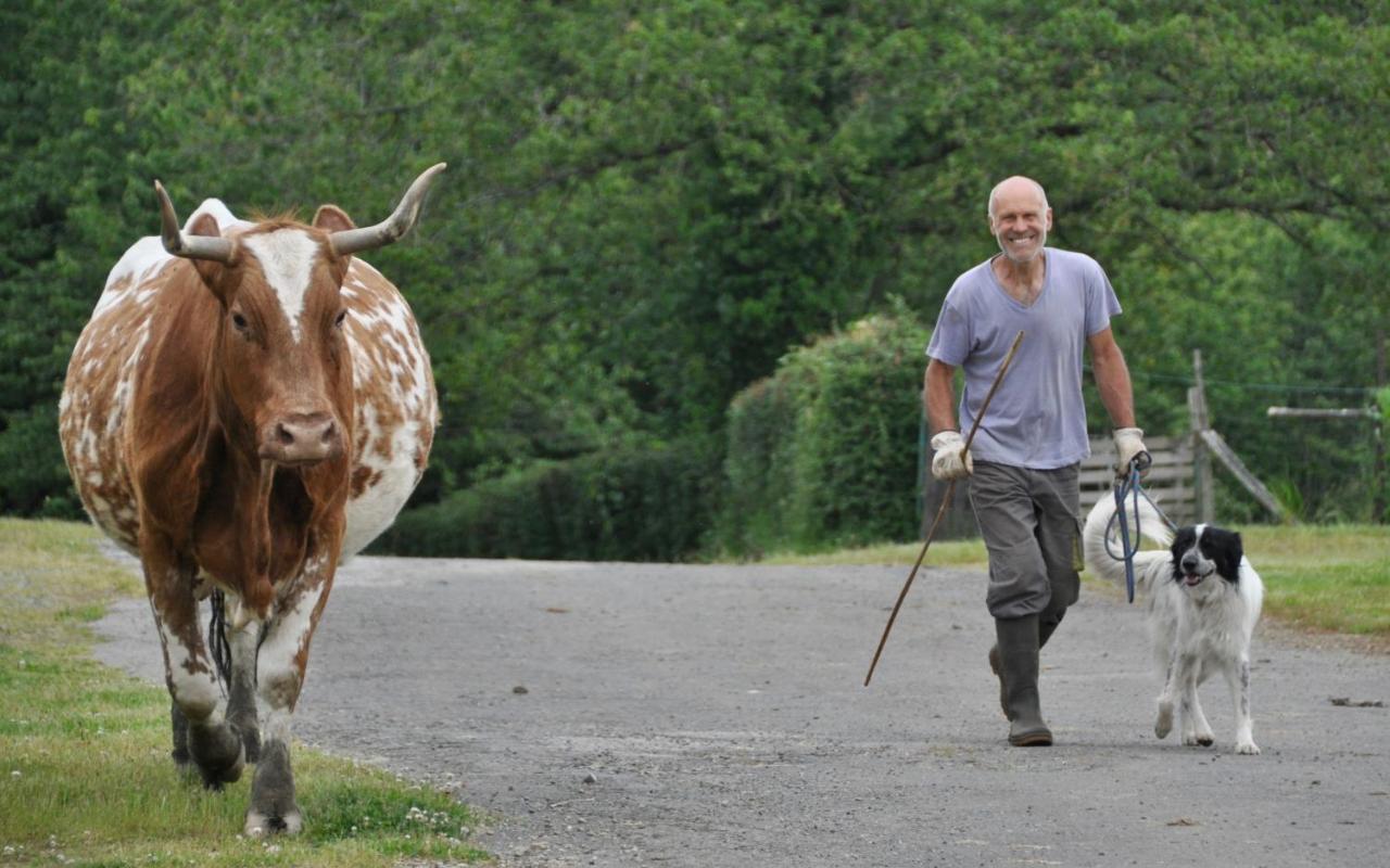 La Ferme Aux Cinq Sens Villa Bussiere-Boffy Eksteriør billede